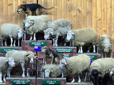 マザー牧場に投稿された画像（2022/9/17）