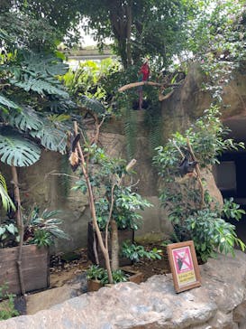 長崎バイオパークに投稿された画像（2022/9/17）