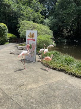 長崎バイオパークに投稿された画像（2022/9/17）