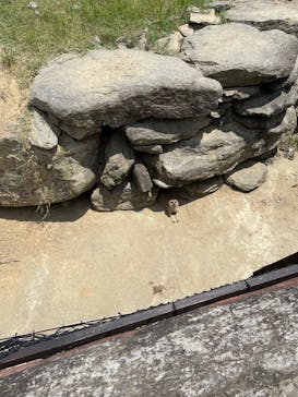 長崎バイオパークに投稿された画像（2022/9/17）