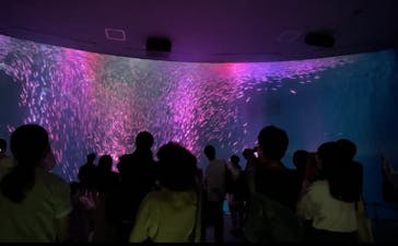 名古屋港水族館に投稿された画像（2022/9/17）