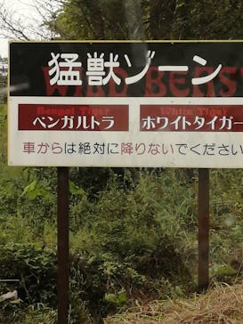 群馬サファリパークに投稿された画像（2022/9/17）