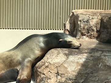 サンシャイン水族館に投稿された画像（2022/9/17）