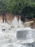 天王寺動物園に投稿された画像（2022/9/17）