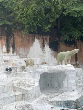 天王寺動物園に投稿された画像（2022/9/17）