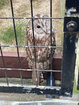 天王寺動物園に投稿された画像（2022/9/17）