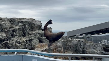 大分マリーンパレス水族館 「うみたまご」に投稿された画像（2022/9/17）