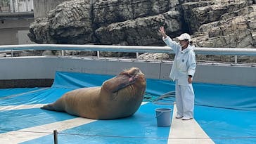 大分マリーンパレス水族館 「うみたまご」に投稿された画像（2022/9/17）