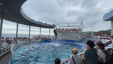 大分マリーンパレス水族館 「うみたまご」に投稿された画像（2022/9/17）
