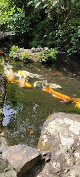 下田ロープウェイに投稿された画像（2022/9/17）