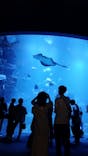 京都水族館に投稿された画像（2022/9/17）