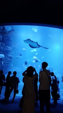 京都水族館に投稿された画像（2022/9/17）