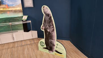 マリンワールド海の中道に投稿された画像（2022/9/17）