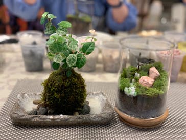 カルチャースクールいろはに投稿された画像（2022/9/17）