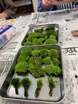 カルチャースクールいろはに投稿された画像（2022/9/17）