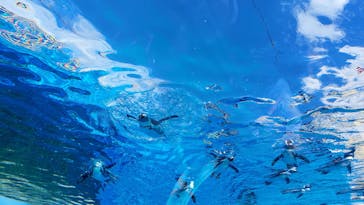 サンシャイン水族館に投稿された画像（2022/9/17）