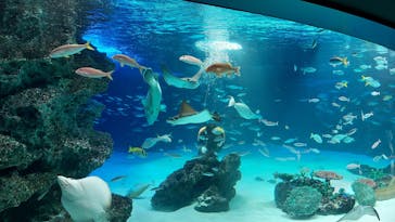 サンシャイン水族館に投稿された画像（2022/9/17）