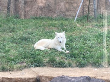 那須どうぶつ王国に投稿された画像（2022/9/17）