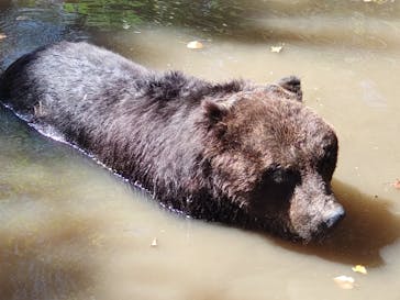 サホロリゾート　ベア･マウンテンに投稿された画像（2022/9/17）