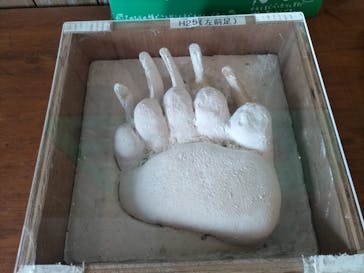 サホロリゾート　ベア･マウンテンに投稿された画像（2022/9/17）