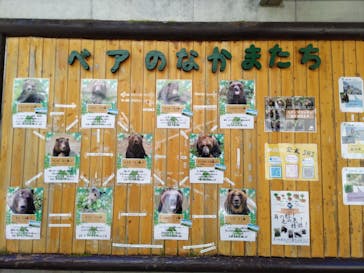 サホロリゾート　ベア･マウンテンに投稿された画像（2022/9/17）