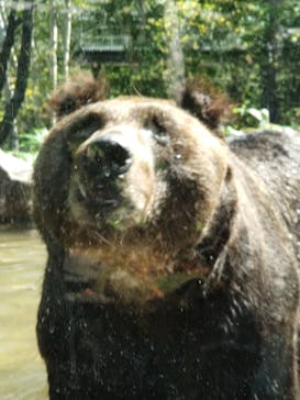 サホロリゾート　ベア･マウンテンに投稿された画像（2022/9/17）