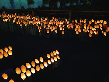 安城産業文化公園デンパークに投稿された画像（2022/9/17）