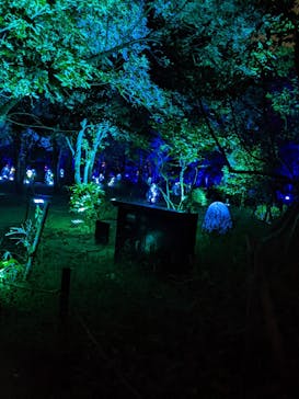 チームラボ ボタニカルガーデン 大阪に投稿された画像（2022/9/17）