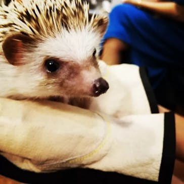 HARRY　原宿駅前店に投稿された画像（2022/9/17）