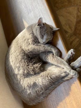 つくばわんわんランドに投稿された画像（2022/9/17）