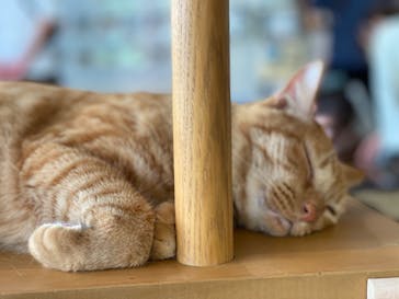 つくばわんわんランドに投稿された画像（2022/9/17）