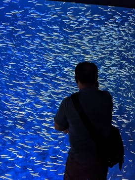 大分マリーンパレス水族館 「うみたまご」に投稿された画像（2022/9/17）