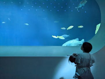 大分マリーンパレス水族館 「うみたまご」に投稿された画像（2022/9/17）