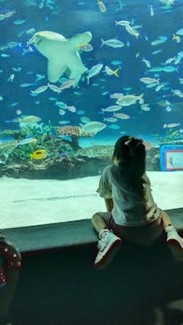 サンシャイン水族館に投稿された画像（2022/9/17）