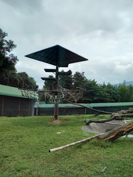 群馬サファリパークに投稿された画像（2022/9/17）