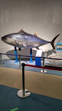 名古屋港水族館に投稿された画像（2022/9/17）