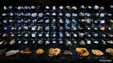 国立科学博物館に投稿された画像（2022/9/17）