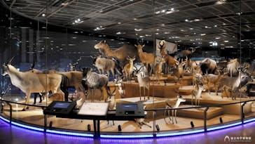 国立科学博物館に投稿された画像（2022/9/17）