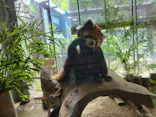 よこはま動物園ズーラシアに投稿された画像（2022/9/18）