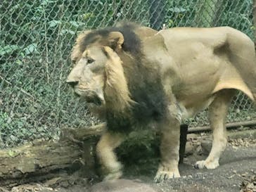 よこはま動物園ズーラシアに投稿された画像（2022/9/18）
