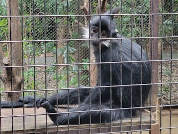 よこはま動物園ズーラシアに投稿された画像（2022/9/18）