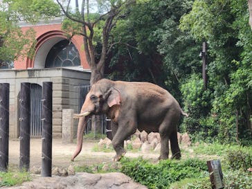 よこはま動物園ズーラシアに投稿された画像（2022/9/18）