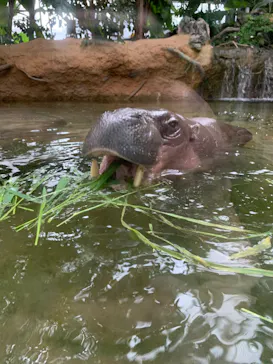 神戸どうぶつ王国に投稿された画像（2022/9/18）
