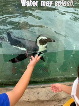 神戸どうぶつ王国に投稿された画像（2022/9/18）