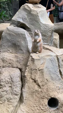 神戸どうぶつ王国に投稿された画像（2022/9/18）