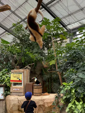 神戸どうぶつ王国に投稿された画像（2022/9/18）