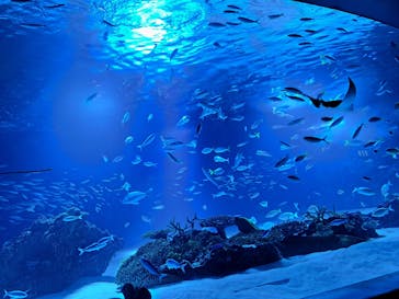 サンシャイン水族館に投稿された画像（2022/9/18）