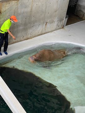 城崎マリンワールドに投稿された画像（2022/9/18）