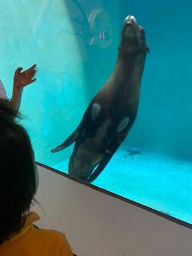 城崎マリンワールドに投稿された画像（2022/9/18）