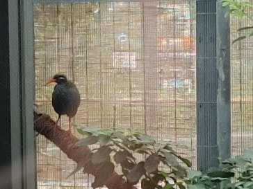 沖縄こどもの国に投稿された画像（2022/9/18）